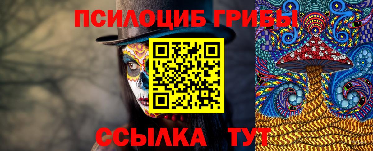 Галлюциногенные грибы Psilocybe Обь